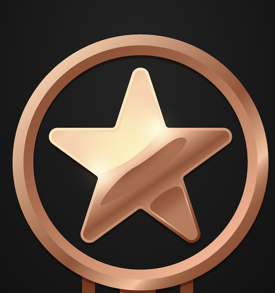 Bronze Services Subscription Pricing